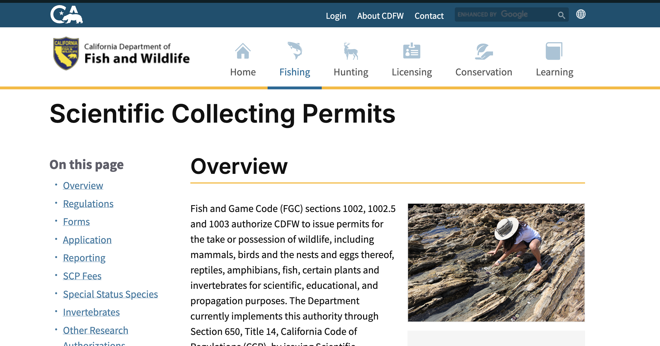 Updates from Town Hall on CDFW Scientific Collecting Permits